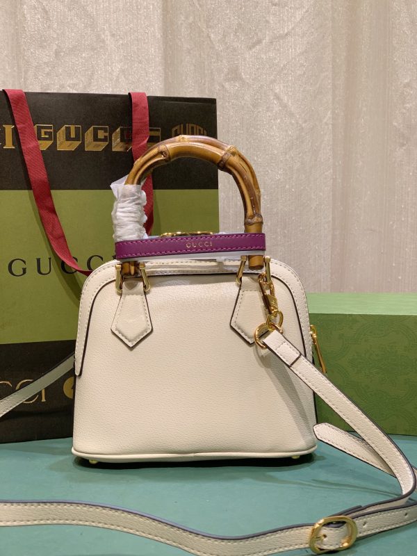 BN – Luxury Bag GCI 480