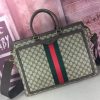 BN – New Luxury Bags GCI 579