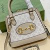 BN – Luxury Bag GCI 447