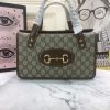 BN – New Luxury Bags GCI 564