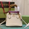 BN – Luxury Bag GCI 480