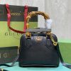 BN – Luxury Bag GCI 481